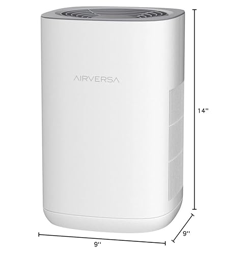 Air Purifier for Allergies: Airversa True HEPA for Large Rooms - Image 2