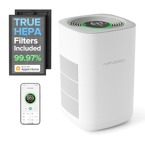 Air Purifier for Allergies: Airversa True HEPA for Large Rooms - Image 9
