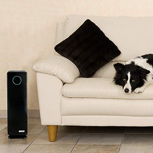 Air Purifier for Bedroom: Germ Guardian HEPA & UV Light - Image 5
