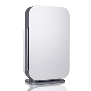 Air Purifier for Mold – Alen BreatheSmart Flex HEPA 1400 Sq. Ft.