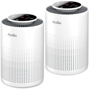 "2 Pack H13 HEPA Air Purifiers - Smoke, Dust & Odor Eliminator"