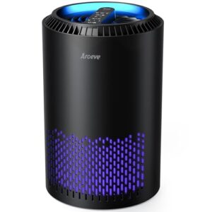 AROEVE MK01 Air Purifier: Sleep Mode, Smoke & Dander Filter