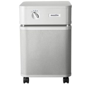 Air Purifier for Allergies: Austin Air Healthmate Plus Review Air Purifier for Allergies: Austin Air Healthmate Plus Review