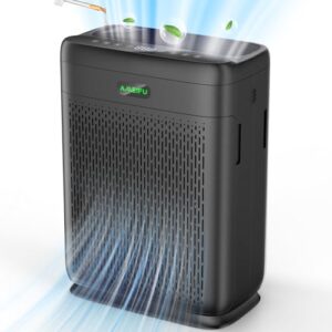 Air Purifier for Bedroom: H13 Hepa, Large Room Up to 3000 Sq Ft