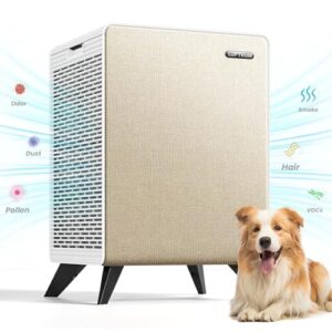  Air Purifier for Cat Allergies - LUFTRUM HEPA Filter 2250 ft²