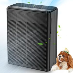 Air Purifier for Hayfever – AIUZLK Powerful HEPA Filter