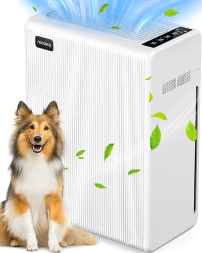 Air Purifier for Hayfever: H13 HEPA for Large Rooms Up to 1740ft²