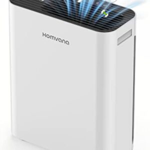 Air Purifier for Hayfever: Homvana H13 HEPA for Allergies