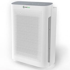 Air Purifier for Hayfever | InvisiClean Aura II 4-in-1 HEPA