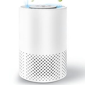 Air Purifier for Hayfever Relief – InvisiClean Stella