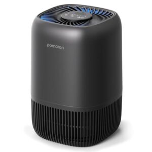 Air Purifier for Hayfever Relief – POMORON HEPA Filter
