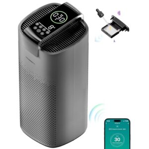 Air Purifier for Home Large Rooms – Smart HEPA Filter & WiFi