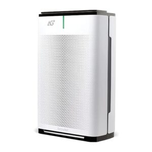 Air Purifier for Large Room: Brondell P700BB-W, Clean Air Air Purifier for Large Room: Brondell P700BB-W, Clean Air