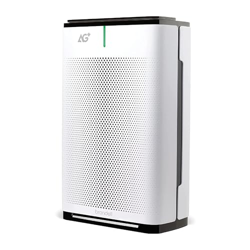 Air Purifier for Large Room: Brondell P700BB-W, Clean Air