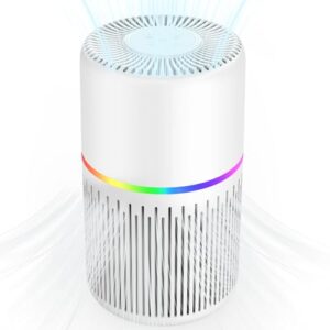 Air Purifier for Large Room – FRESHDEW H13 HEPA Cleaner