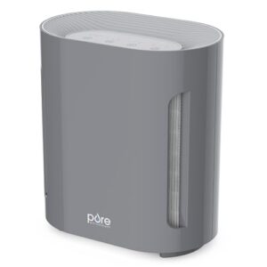 Air Purifier for Large Room: PureZone with H13 HEPA Filter
