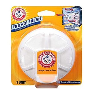 Air Purifier for Mold: Arm & Hammer Fridge Fresh Filters 4pk