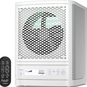 Air Purifier for Mold – Whole House, Filterless, New Design