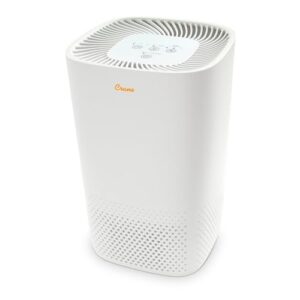 Air Purifier for Mold with UV Light & True HEPA Filter