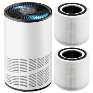 Air Purifier for Room: DUMOS HEPA for Large Spaces, Quiet