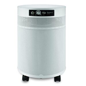 Air Purifier for Room: P714 Airpura for Germs, Mold & Chemicals