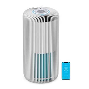 Air Purifier for Room: Pure Enrichment PureZone Turbo 1050 sq. ft.