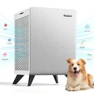  Air Purifier for Room Up to 2250 ft² - HEPA, Auto & Sleep Mode