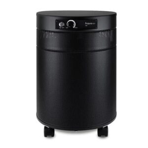 Air Purifier for Smoke: Airpura T700 for Tobacco & Odors