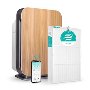 Air Purifier for Smoke: Alen BreatheSmart 75i for Large Rooms