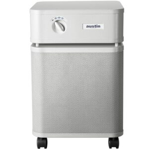 Air Purifier for Smoke: Austin Air Healthmate Plus Review