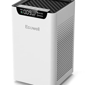 Air Purifier for Smoke – ECOWELL HEPA for Large Rooms