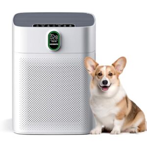  Air Purifier for Smoke - Morento 1076 Sq Ft, Pet Hair Sensor