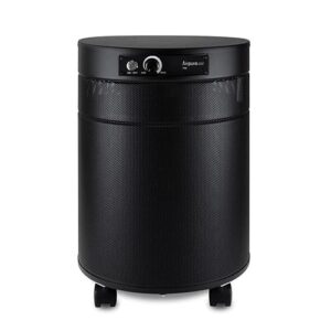 Airpura C700 DLX: Best Air Purifier for Bedroom Use