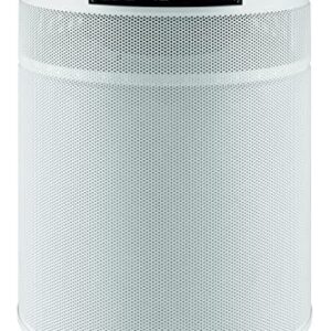 Airpura C700 DLX: Best Air Purifier for Room and Gas Abatement