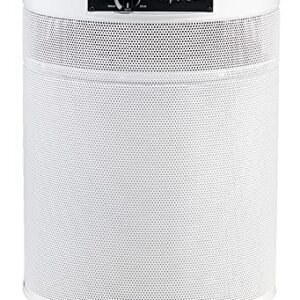 Airpura I600 HEPA Air Purifier – Clean Air & Odor Elimination