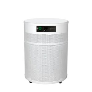 “Airpura R400: Your Everyday Solution for Clean Air”