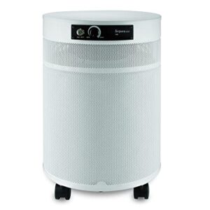 “Airpura R714 Super HEPA Air Purifier for Everyday Use”