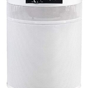 Best Air Purifier for Pets: AIRPURA C600DLX for Clean Air