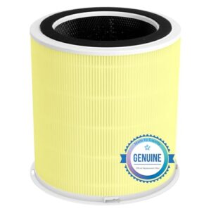 Best Air Purifier for Pets: DAYETTE H14 Replacement Filter