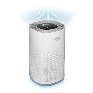 "Clorox Air Purifier: True HEPA for Medium Rooms, Whisper Quiet"