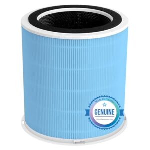 Dust-Capturing H14 HEPA Filter for DAYETTE Air Purifiers