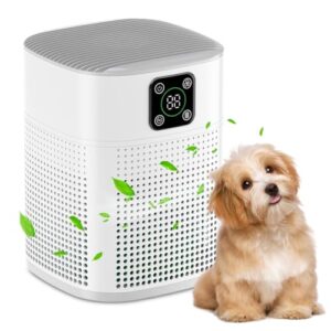 Honeyuan H13 HEPA Air Purifier for Large Rooms, 600 sqft