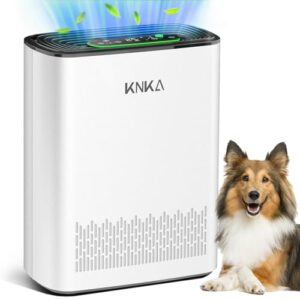 "KNKA APH3000 Air Purifier for Large Rooms & Allergens"