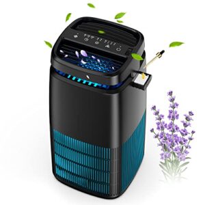 POMORON 4-in-1 Air Purifier: H13 HEPA, UV, Ionizer, 1250 Ft²
