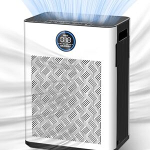  "Top Air Purifier for Allergies: H14 HEPA, Quiet & Large Room"