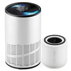 "Top Air Purifier for Home: DUMOS H13 HEPA, Ultra Quiet"