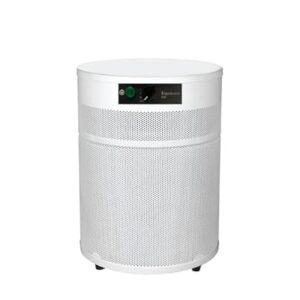 V400 Air Purifier for Home – Ideal for Wildfire Smoke Relief