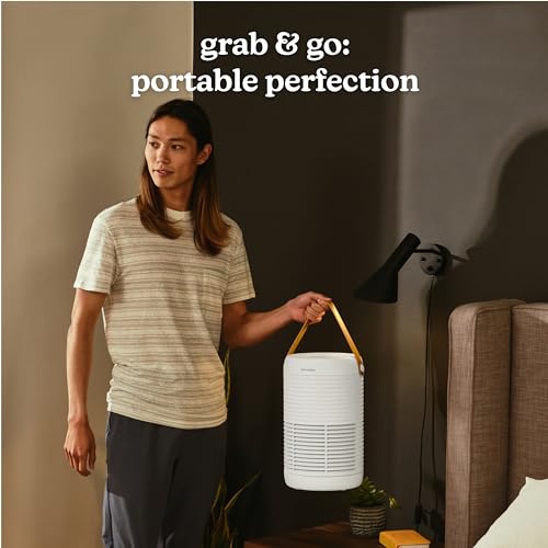 Air Purifier for Hayfever: True HEPA & Carbon Filter, 975 Sq Ft - Image 6