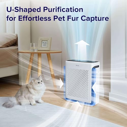 Air Purifier for Bedroom: LEVOIT Vital 100S & OasisMist 1000S - Image 6