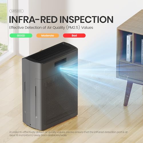 Air Purifier for Hayfever Relief, Large Room, HEPA Filter - Image 2